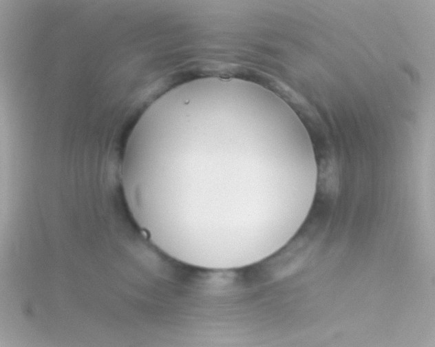 X0000115740474200911252003