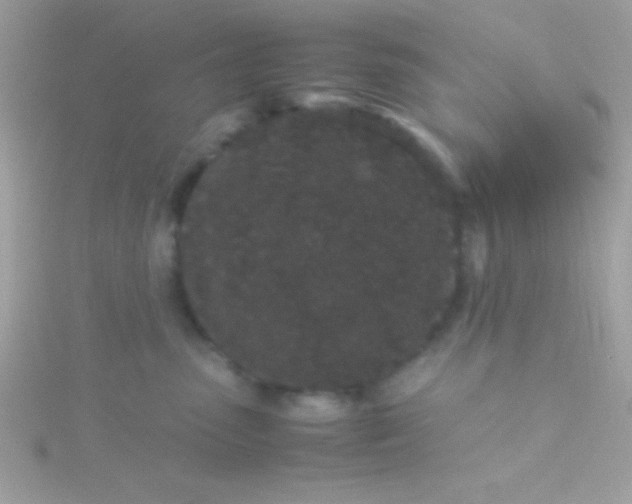 X0000115740475200911252003