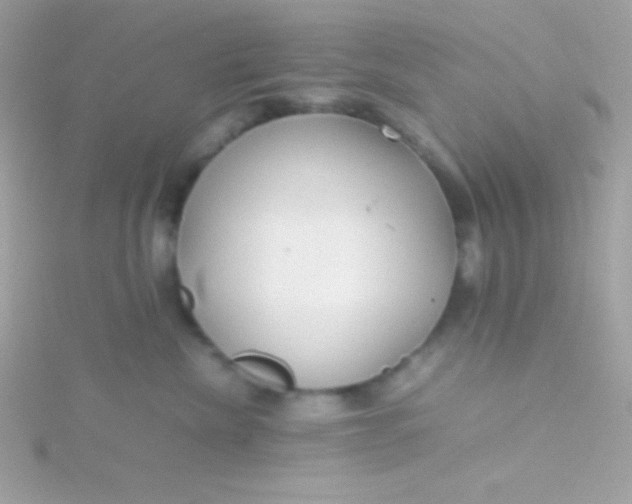 X0000115740476200911252003