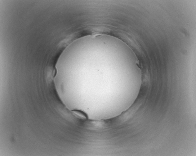 X0000115740478200911252003