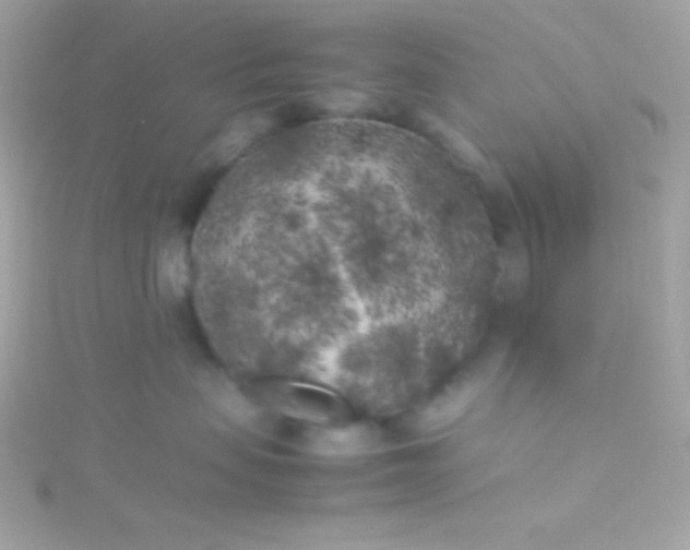 X0000115740479200911252003