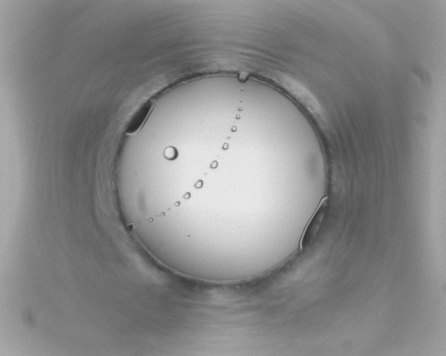 X0000115740481200911252003