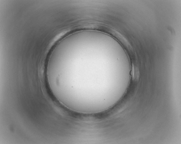 X0000115740483200911252003