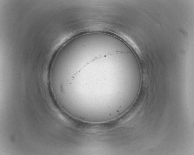 X0000115740485200911252003