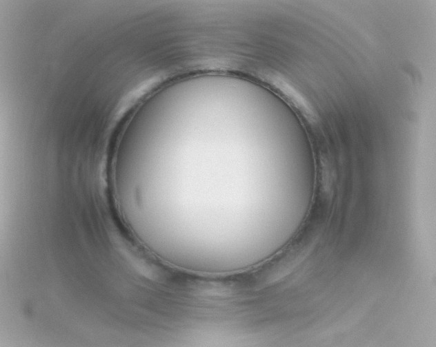 X0000115740486200911252003