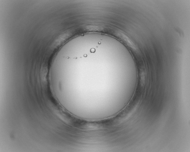 X0000115740490200911252002