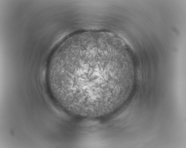 X0000115740491200911252002