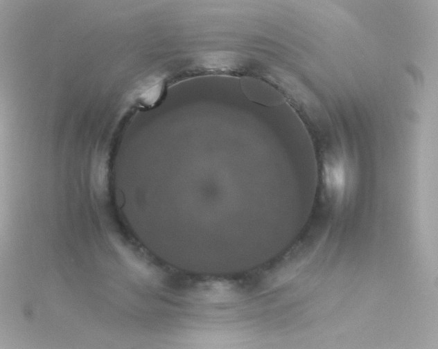 X0000115740492200911252002