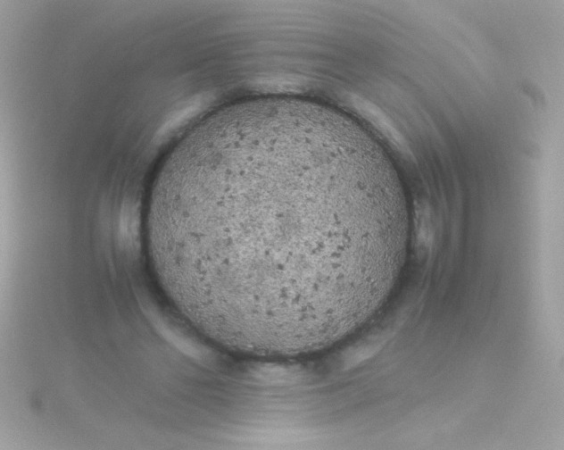 X0000115740494200911252002