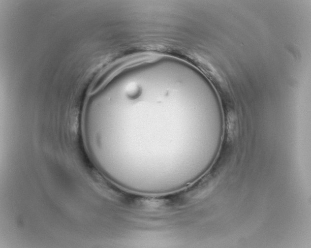 X0000115740495200911252002