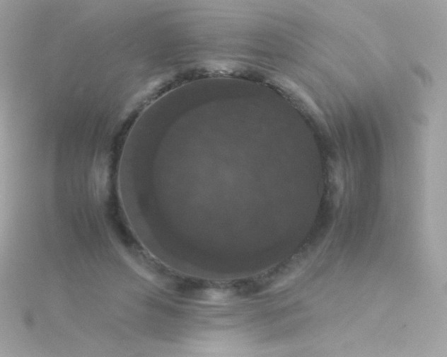 X0000115740496200911252002