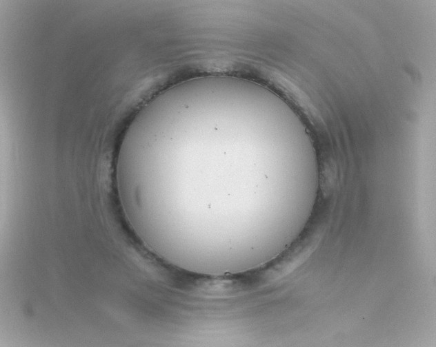 X0000115740497200911252002