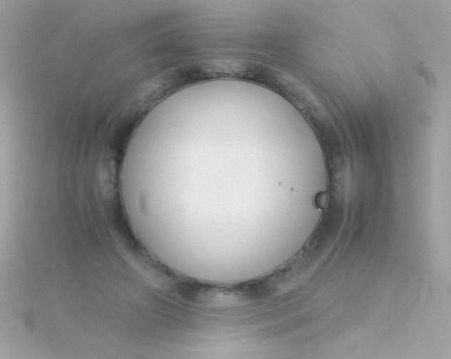 X0000115740498200911252002