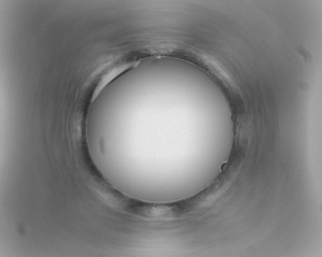 X0000115740501200911252002