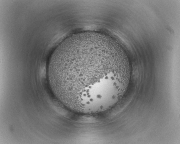 X0000115740502200911252002