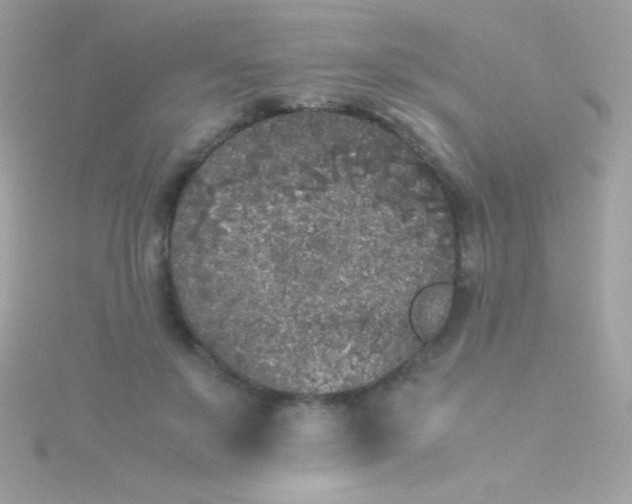 X0000115740503200911252002