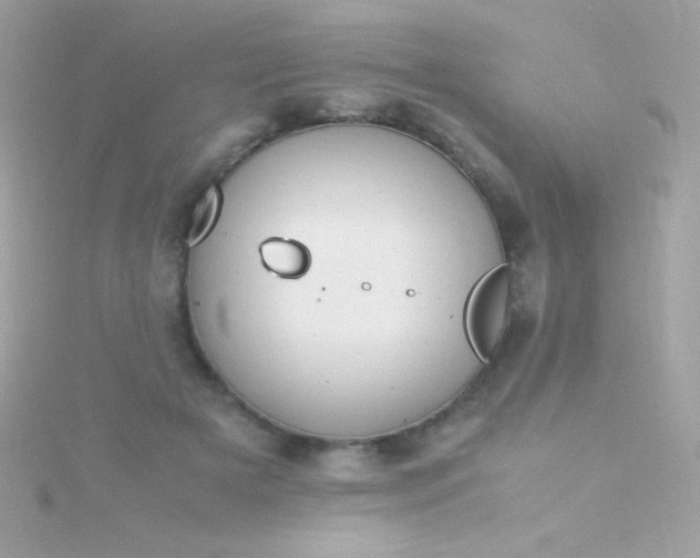 X0000115740505200911252002