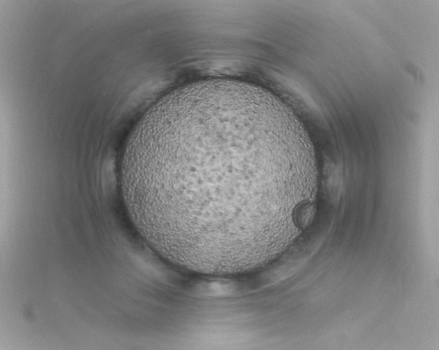 X0000115740506200911252002