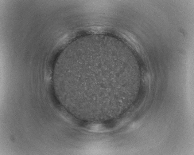 X0000115740507200911252002