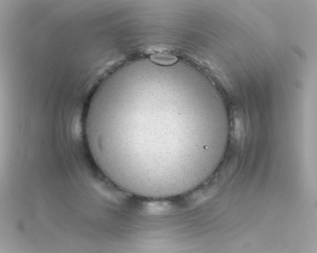 X0000115740508200911252002