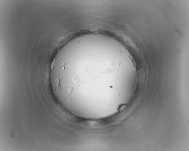 X0000115740509200911252002