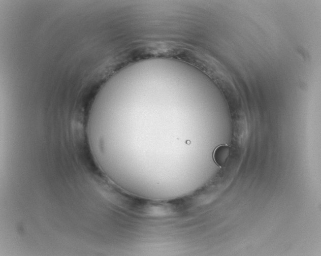 X0000115740510200911252002