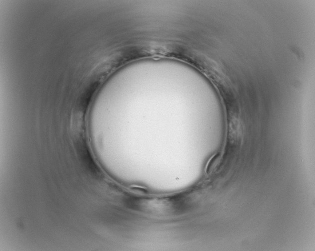 X0000115740511200911252002