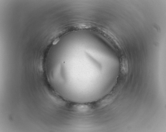 X0000115740512200911252002