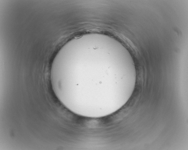 X0000115740513200911252002