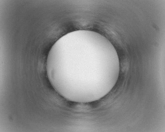 X0000115740515200911252002