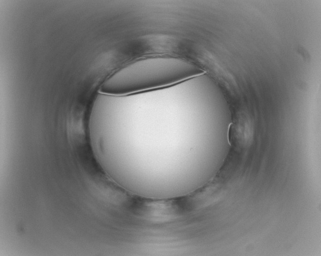 X0000115740516200911252002