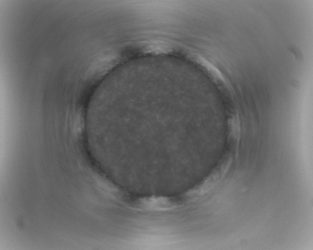 X0000115740517200911252002