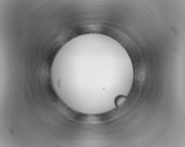 X0000115740518200911252002