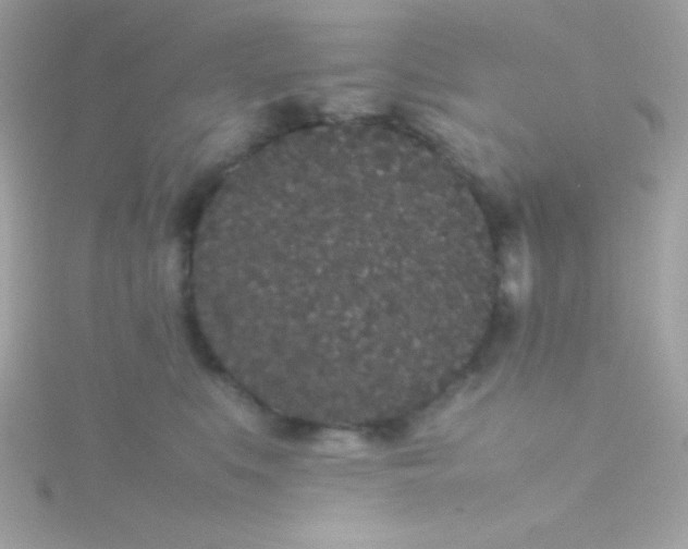 X0000115740519200911252002