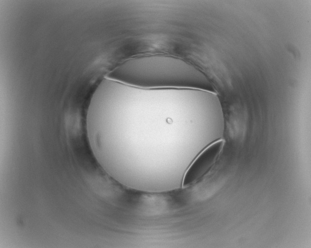 X0000115740520200911252002