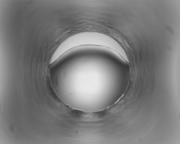 X0000115740521200911252002