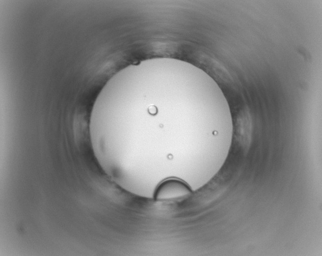 X0000115740522200911252002