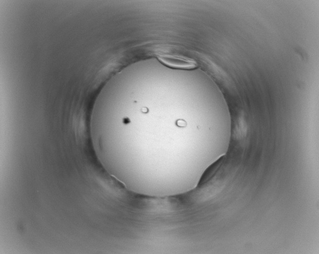 X0000115740524200911252002