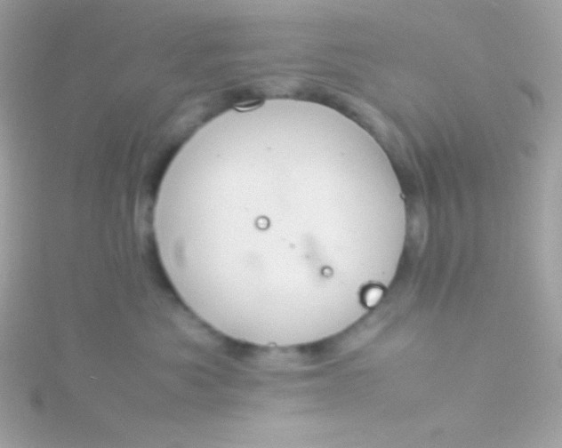 X0000115740525200911252002