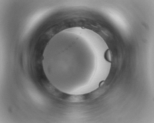 X0000115740526200911252002