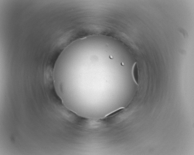 X0000115740528200911252002