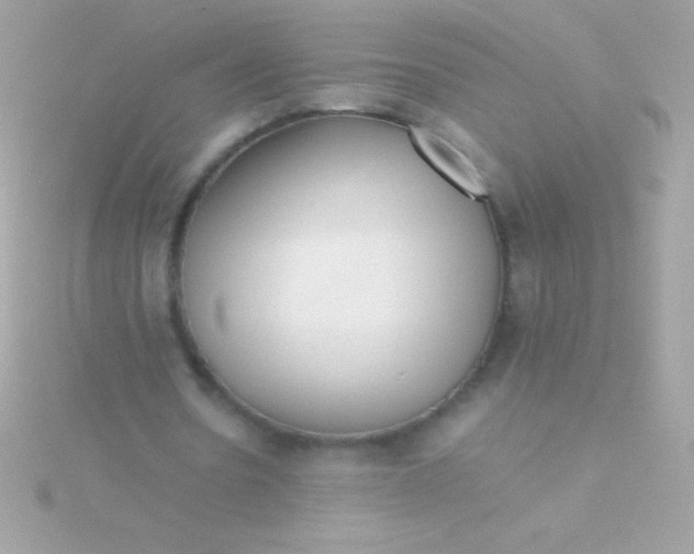 X0000115740530200911252001