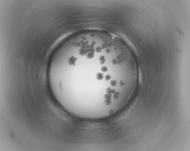 X0000115740531200911252001