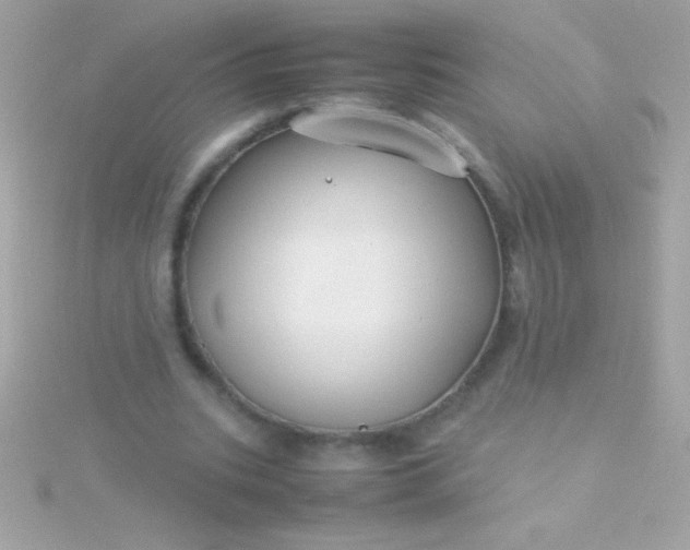 X0000115740535200911252001