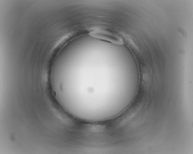 X0000115740539200911252001