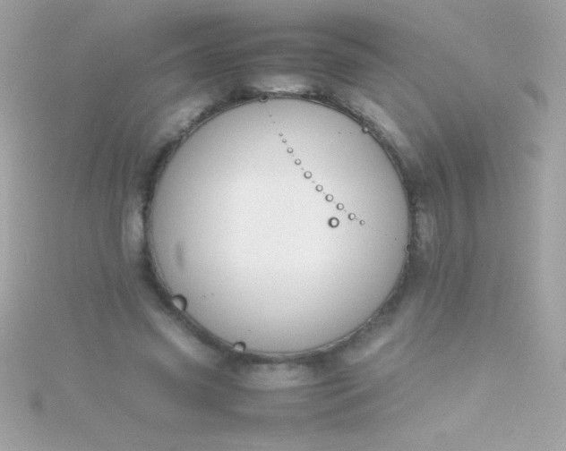 X0000115740541200911252001