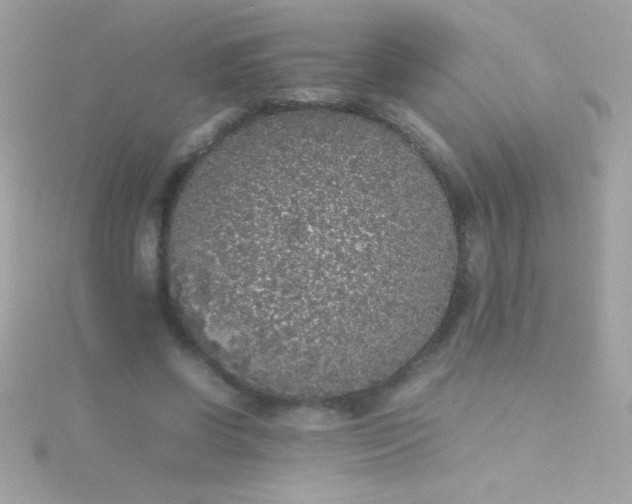 X0000115740542200911252001