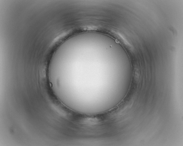 X0000115740543200911252001