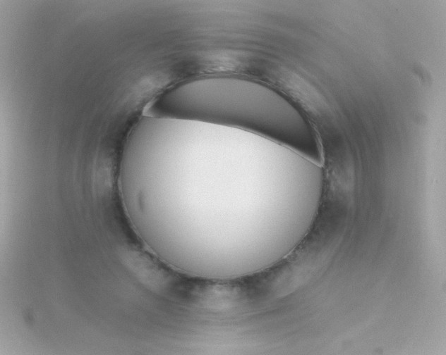 X0000115740546200911252001