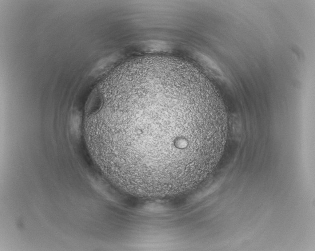 X0000115740550200911252002